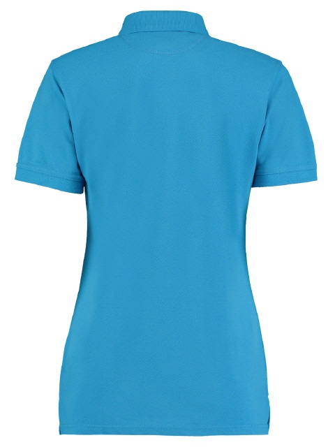 Turquoise (R&uuml;cken) Foto: KUSTUM KIT�